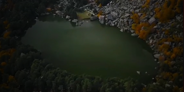 vista previa del vídeo